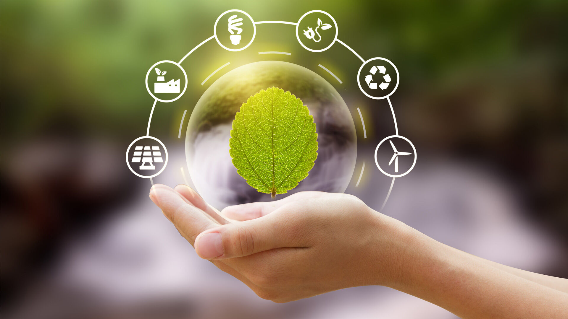 About MRS - Environmental awareness About MRS - Environmental awareness