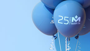 25th company anniversary at MRS Electronic 25th company anniversary at MRS Electronic